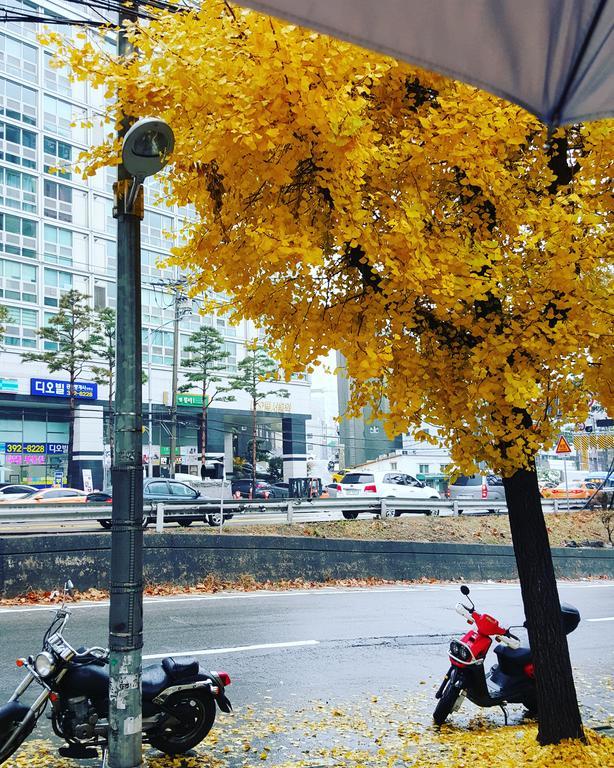Feliz Guesthouse, Seoul Station ภายนอก รูปภาพ